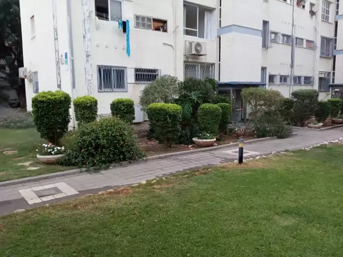 גיזום ועיצוב שיחים